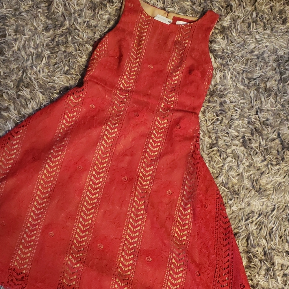 ⚡️Sale⚡️NWT Anthropologie  Lace knit dress sz 6